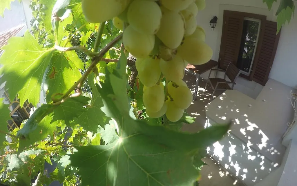 Guest House Neho Cres 4*,  Croatia
